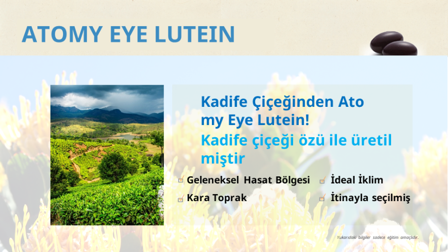 Eye Lutein(Türkçe)