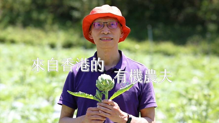 【艾多美 洋薊膠囊】紀錄－來自香港的有機農夫