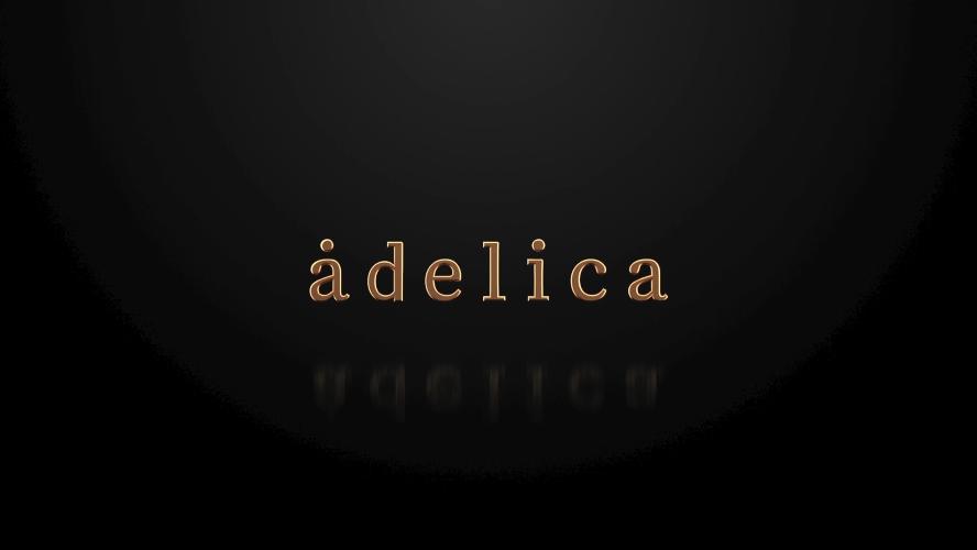 adelica 브랜드 런칭쇼