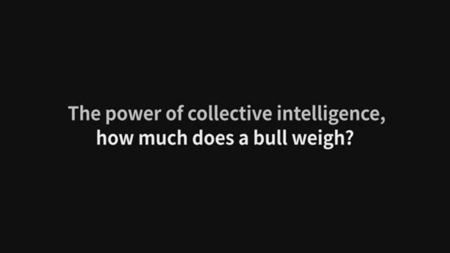 The Power of Agglomeration, How Much Does a Bull Weigh (ENG)