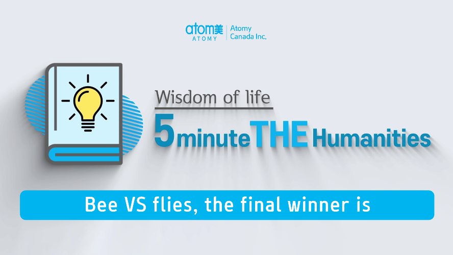 5 minutes THE Humanities - Bee VS flies, the final winner is