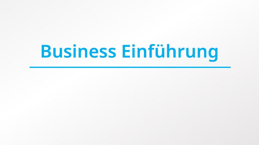 Seminar Business Introduction  (German) 