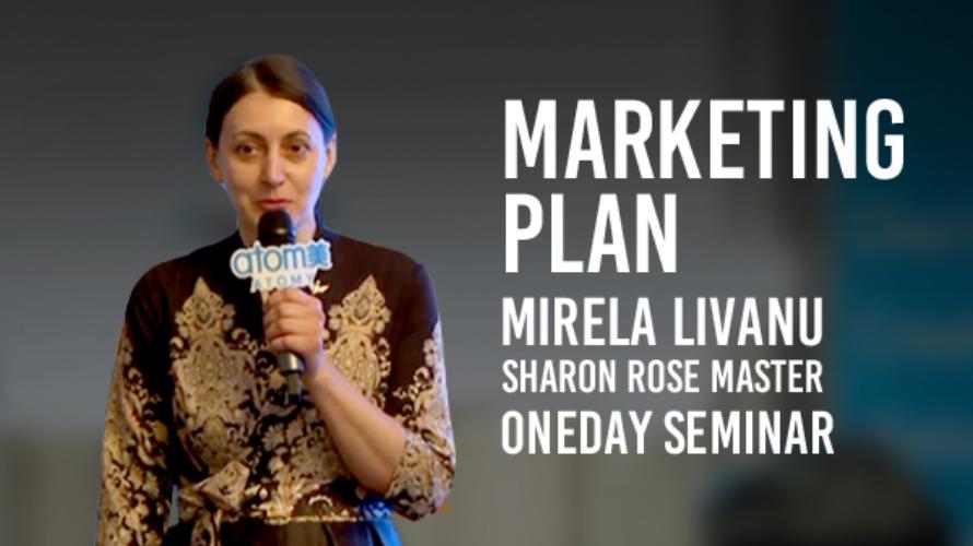 [ROM]Marketing Plan_SRM_Mirela Livanu