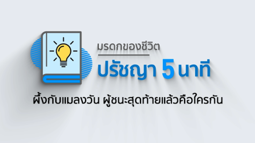 ปรัชญา 5 นาที - ผึ้งกับแมลงวัน ผู้ชนะสุดท้ายแล้วคือใครกัน?