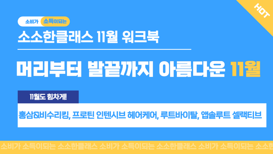 [소소한클래스] 2024년 11월 워크북(홍삼&비수리킹, 앱솔루트, 루트바이탈&프로틴인텐시브 헤어케어)