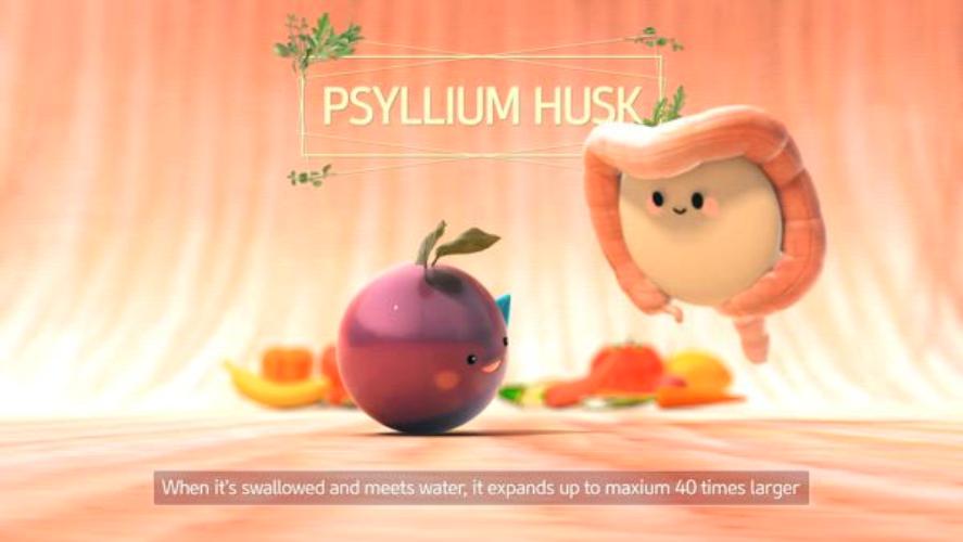 Psyllium Husk 