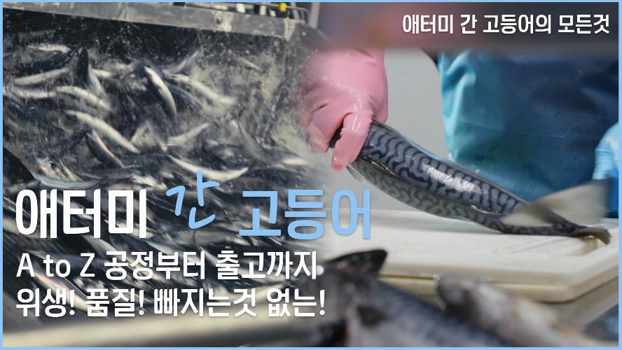 애터미 간고등어의 모든 것! 원재료부터 가공생산까지 공정 공개! 